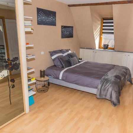Charmant Appartement Alsacien Ribeauvillé Exteriér fotografie