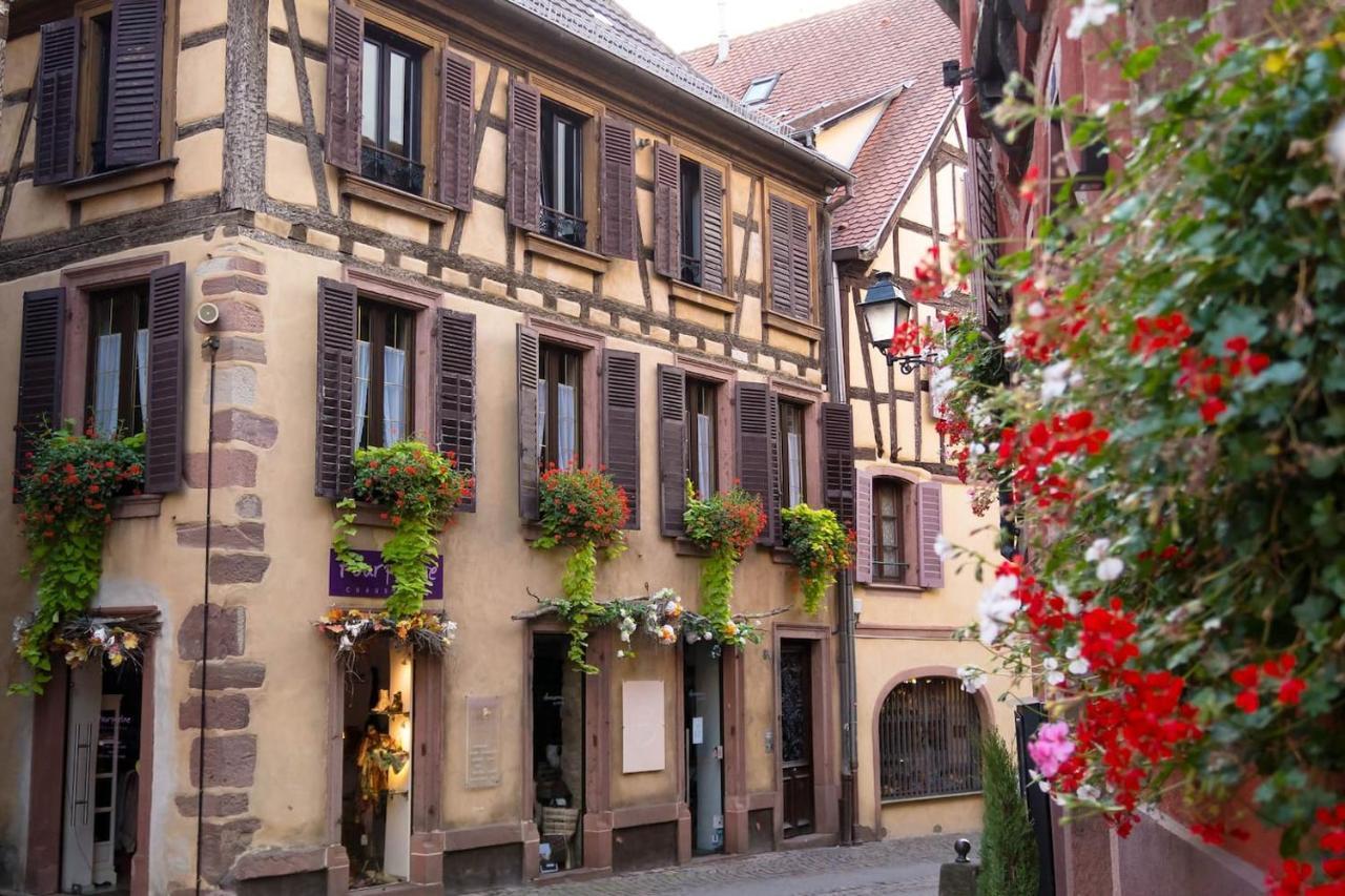 Charmant Appartement Alsacien Ribeauvillé Exteriér fotografie