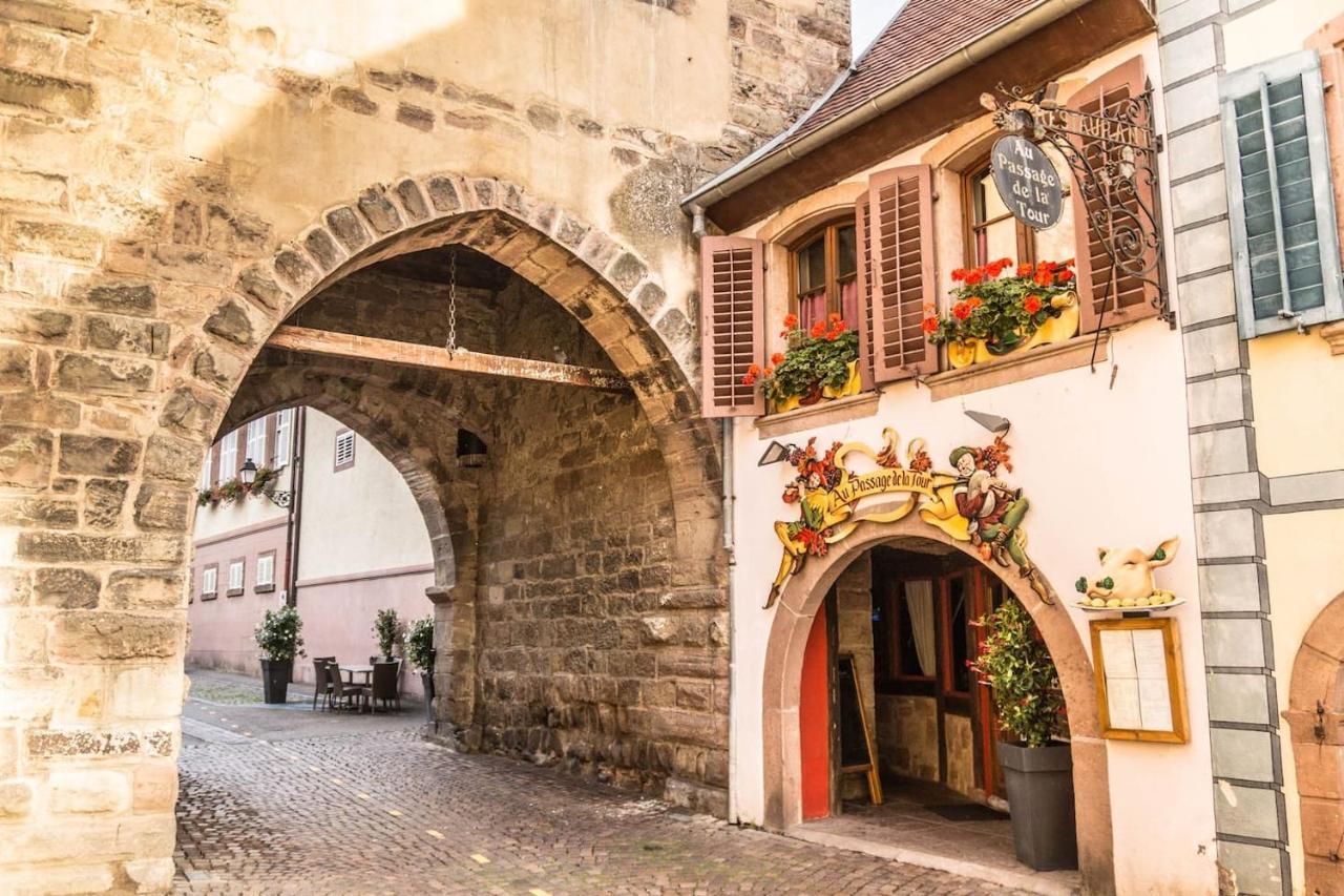 Charmant Appartement Alsacien Ribeauvillé Exteriér fotografie