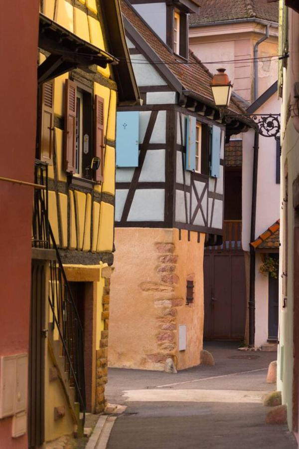 Charmant Appartement Alsacien Ribeauvillé Exteriér fotografie